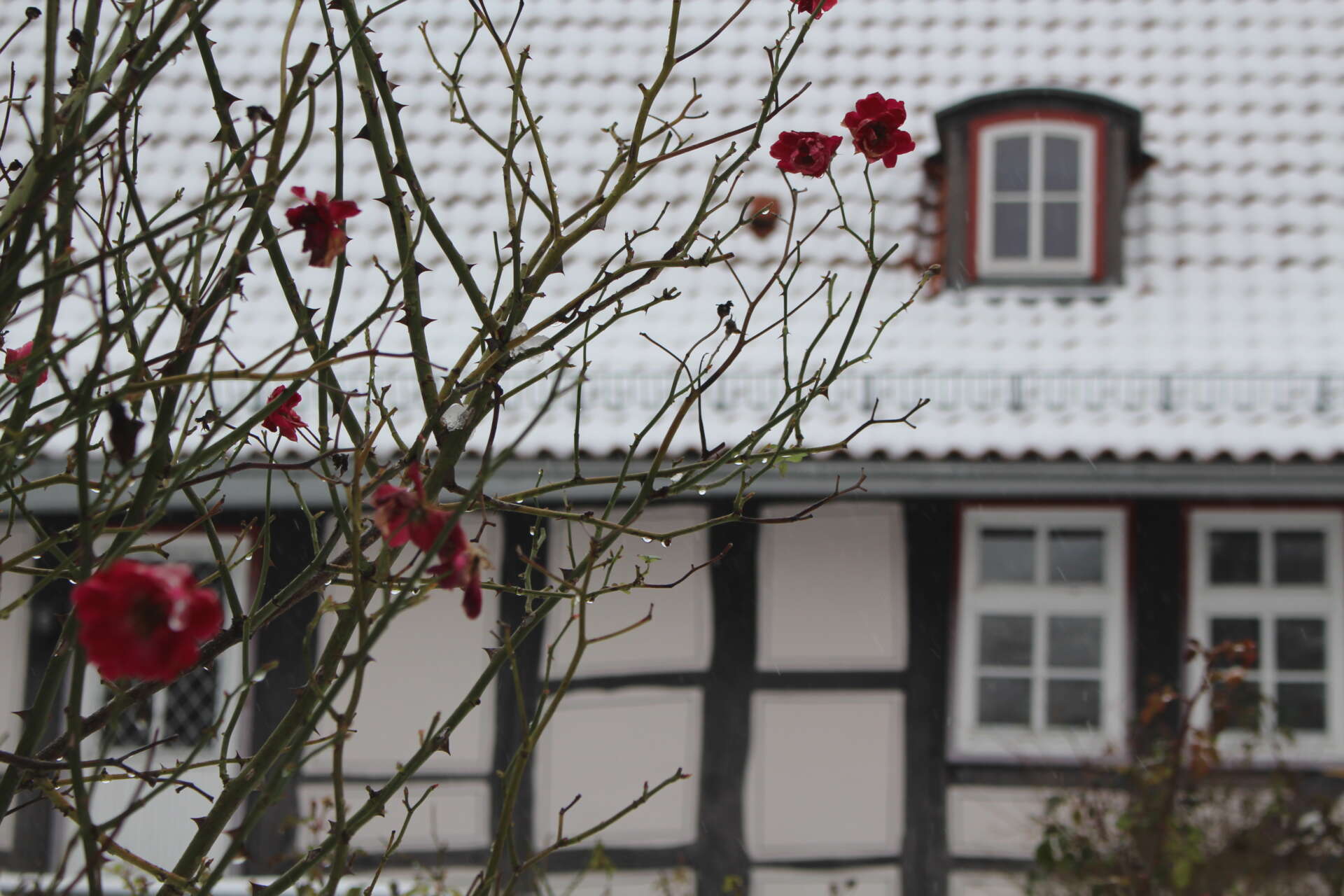 Weihnachten In Berlin Literaturmuseum Theodor Storm